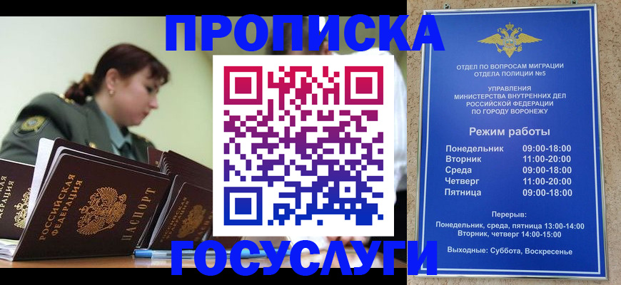 миграционный учет в Шали