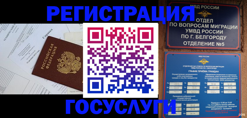 временная прописка в Шали